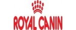 Royal Canin para gatos